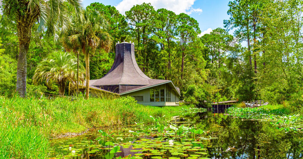 Best Family-Friendly Attractions in Coastal Plain GA