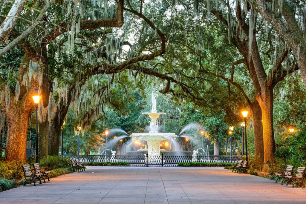 Best Places to Visit in February 2025