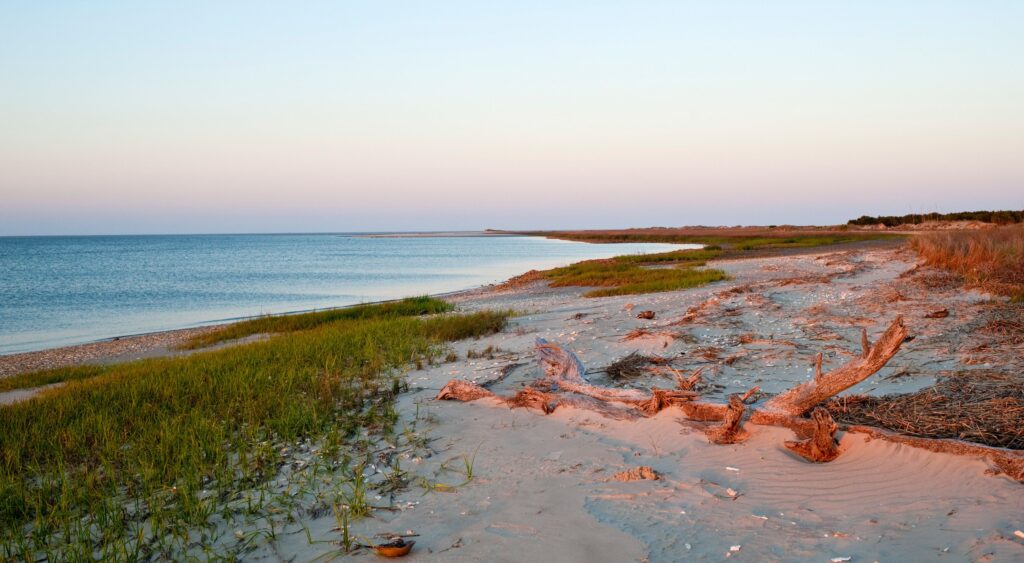 Discovering the Beauty of Coastal Plain GA