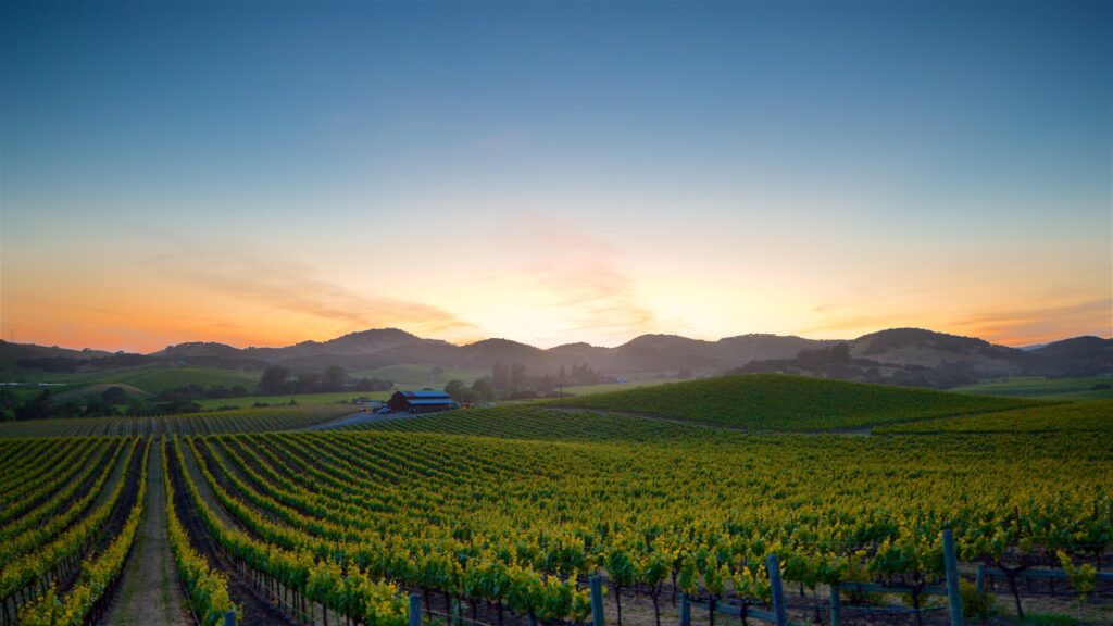 Napa Valley