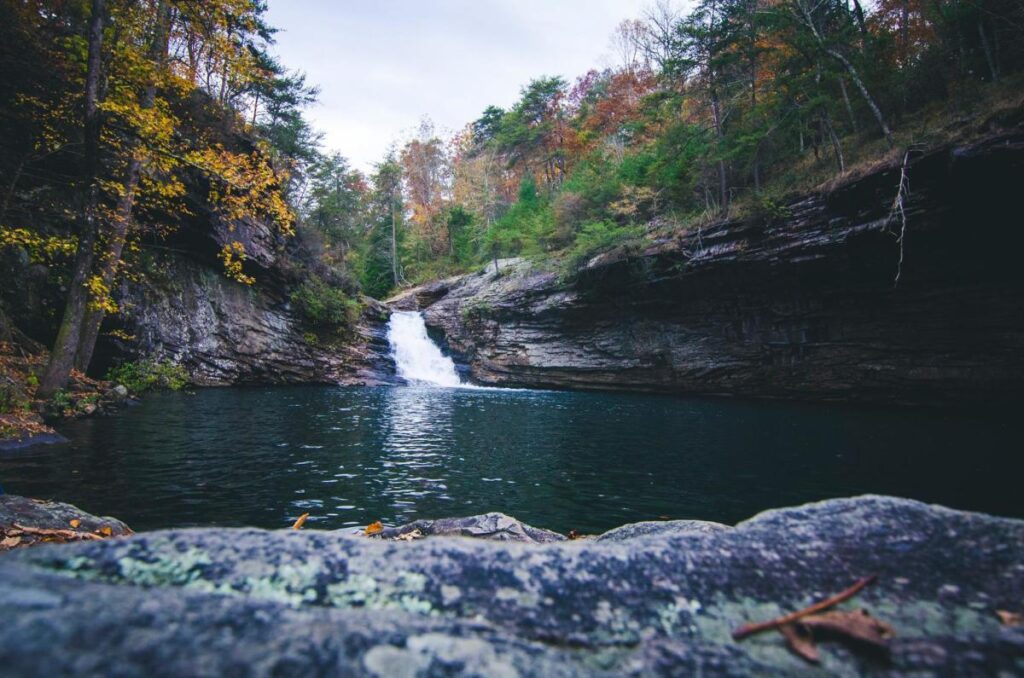 Lula Lake Land Trust