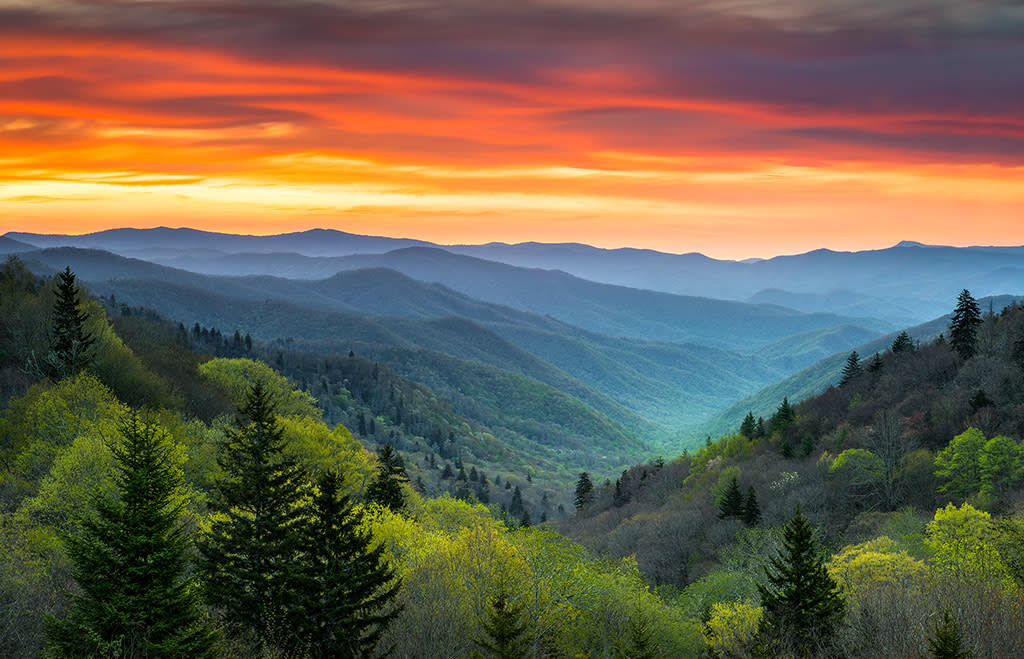 The Great Smoky Mountains National Park