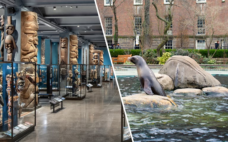 Zoos, Parks, and Museums
